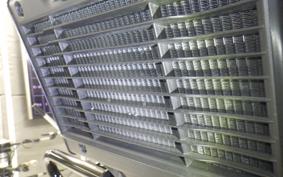 HONDA REBEL 1100 2022 SC83