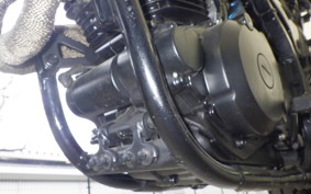 YAMAHA TT250R RAID 4GY