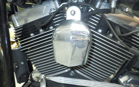 HARLEY FLSTC 1580 2015