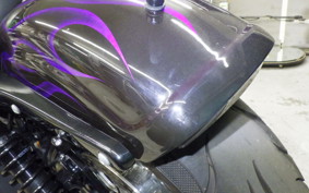 HARLEY XL1200V 2013