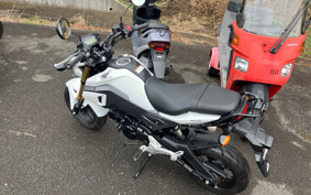 HONDA GROM JC61
