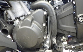 KAWASAKI ZX-4RR 2025 ZX400P