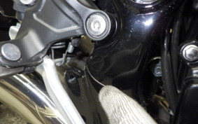 KAWASAKI Z900RS 2025 ZR900K