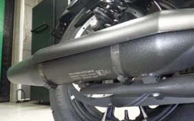 HARLEY XL883N 2021