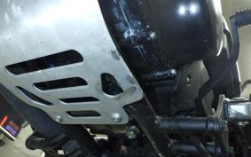 KAWASAKI W175 TR