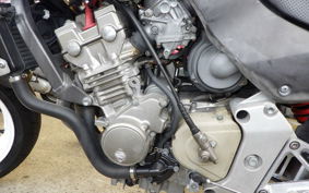 HONDA HORNET 250 MC31