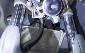 YAMAHA YZF-R25 2024 RG10J