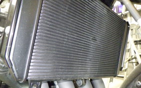 KAWASAKI Z900RS SE 2025 ZR900K