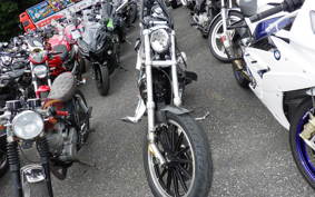HARLEY L1200LI 2010