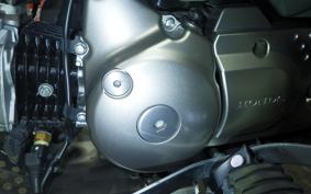 HONDA CT125 HUNTER CUB 2021 JA55