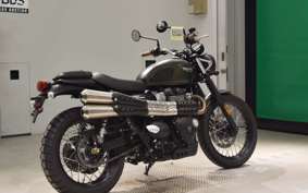 TRIUMPH STREET SCRAMBLER 2017