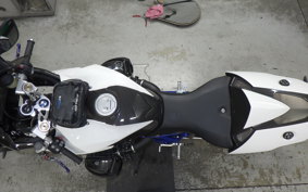BMW HP2 SPORT 2009