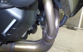 YAMAHA MT-09 2021 RN69J