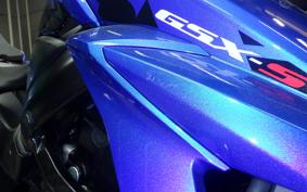 SUZUKI GSX-S750 2022 C533F