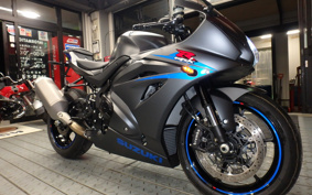 SUZUKI GSX-R1000 ABS 2021 DM11A