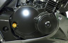 HONDA HORNET 250 MC31