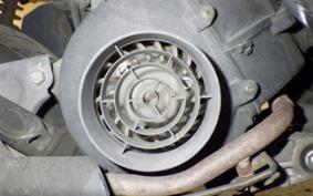 HONDA TODAY 2020 AF61