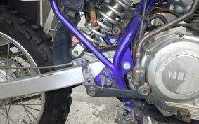 YAMAHA TT-R125 2009 CE07Y