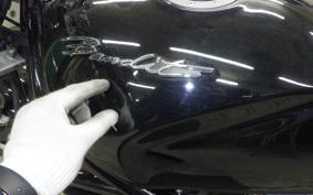 SUZUKI BANDIT 250 V Type GJ77A