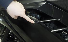 KAWASAKI NINJA 250 EX250L