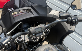 HARLEY FXLRST 2024 YXZ