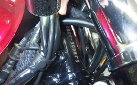 KAWASAKI W800 2022 EJ800E