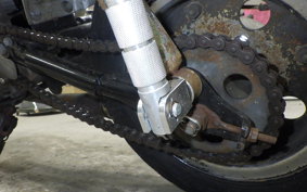 HONDA GORILLA 2021 Z50J