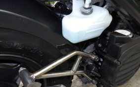 HONDA ZOOMER 2024 AF58