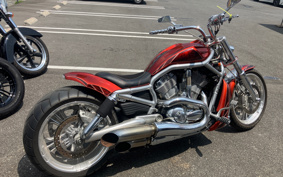 HARLEY VRSCAW 2009 HFH