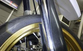 YAMAHA WR250X 2022 DG15J