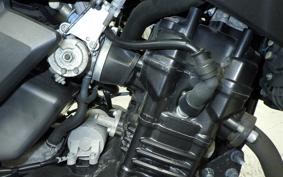 SUZUKI V-STROM 250