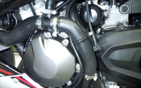 KAWASAKI NINJA ZX-6R A 2021 ZX636G