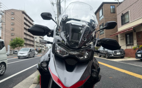 TRIUMPH TIGER 900GT PRO 2024 TRC82D