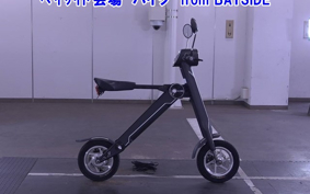 OTHER MINI BIKE