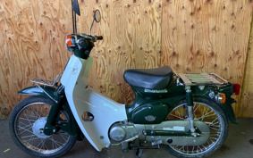 HONDA SUPER CUB50 C50