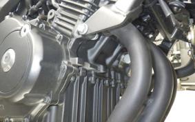 HONDA HORNET 250 2013 MC31