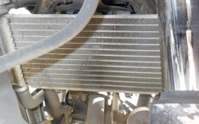 HONDA CBR250R GEN 3 MC41