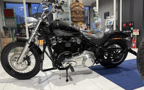 HARLEY FXST1340-1450 2022 BVJ