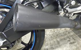 SUZUKI HAYABUSA Gen.3 2021
