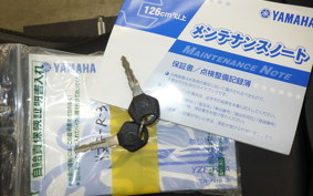 YAMAHA YZF R-3 2020 RH13J