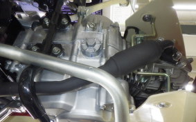 HONDA C50 SUPER CUB 2007 AA09