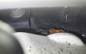 HONDA GYRO CANOPY 1976 TA03