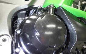 KAWASAKI NINJA 1000 2015