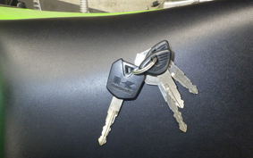 KAWASAKI NINJA 250 2022 EX250L