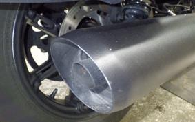 HARLEY RH975 2022