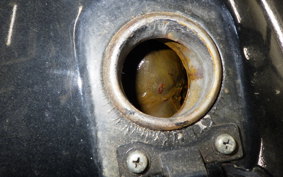 KAWASAKI Z250 Limited 1997 KZ250H