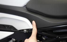 BMW S1000RR M DDC 2024