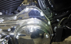 HARLEY XL1200XS 2020