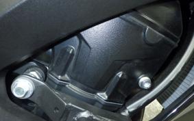 KAWASAKI NINJA 1000SX 2024 ZXT02K