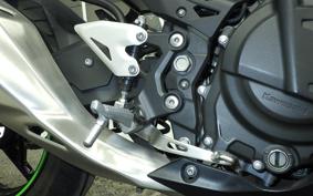 KAWASAKI NINJA 250 EX250P